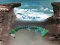 3D Water Flexi Dragon